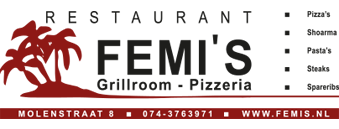 Logo Femis Delden
